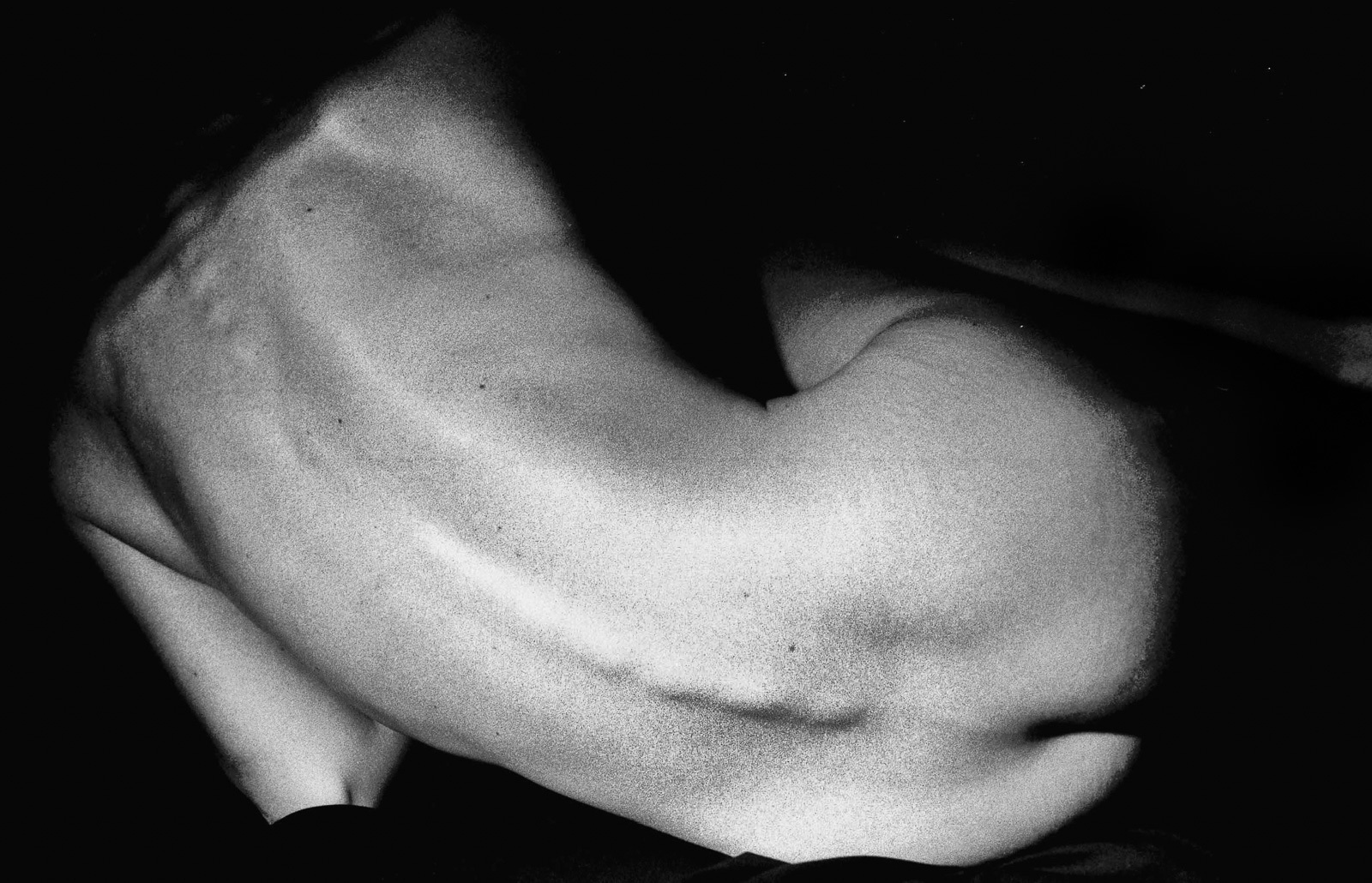 Bare Back Nude